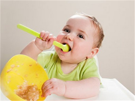可促进宝宝脑部发育的几种食物
