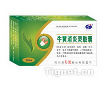 塞来昔布胶囊的功能主治吃几粒 20081026b2xg1m4d.jpg