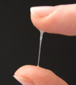 由于青春期少女月经不稳定,卵巢的功能尚不健全,或迟发月经,白带的