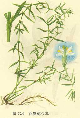 �׻������