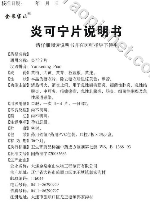 炎可宁片说明书