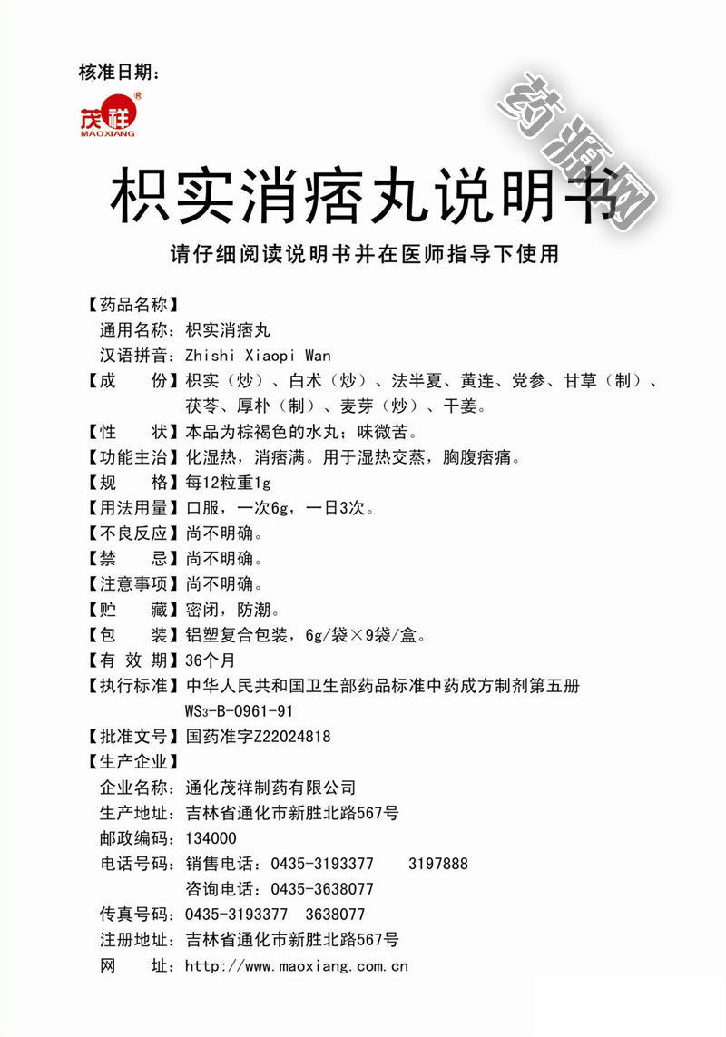枳实消痞丸说明书_药源网