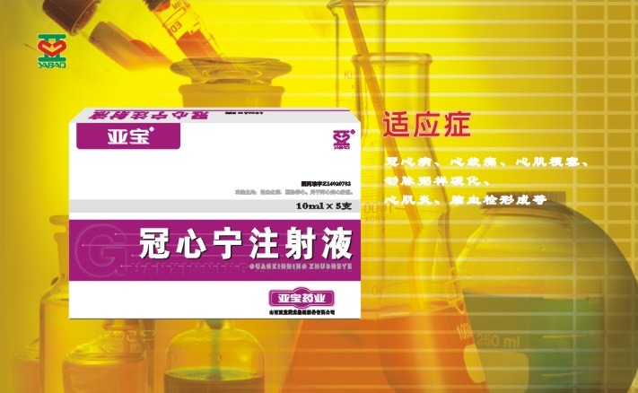 冠心宁注射液