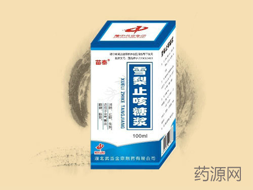 ѩ��ֹ���ǽ�