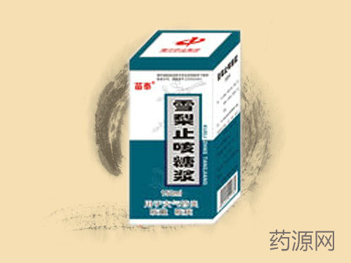 ѩ��ֹ���ǽ�