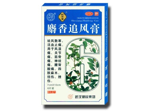 麝香追风膏_武汉健民集团随州药业有限公司-药源网