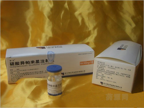 硫酸异帕米星注射液