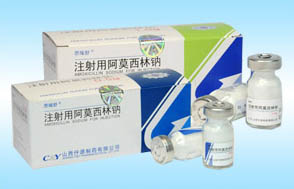 ע���ð�Ī������