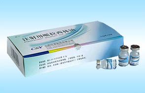 ע��������������