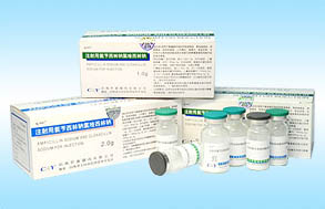 ע���ð�������������������