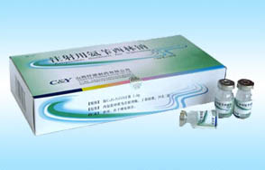 ע���ð���������