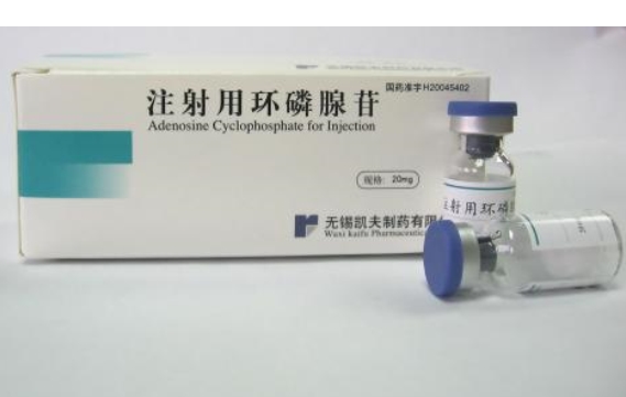 注射用环磷腺苷 注射用环磷腺苷