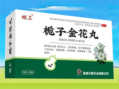 栀子金花丸 栀子金花丸