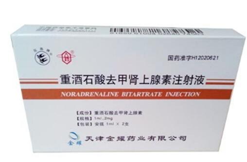 重酒石酸去甲肾上腺素注射液