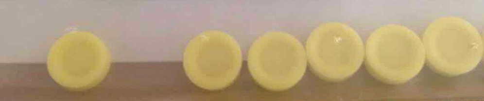 厂家德国狼牌肾镜薄膜阀89.101