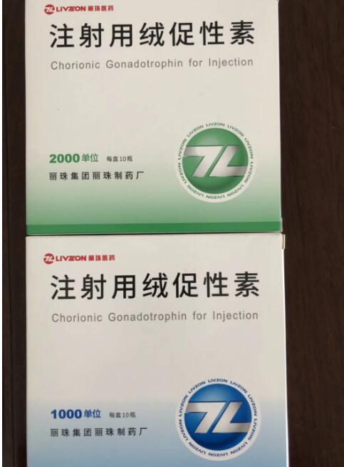 注射用绒促性素 注射用绒促性素