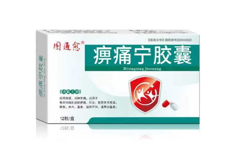 痹痛宁胶囊 痹痛宁胶囊