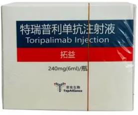 特瑞普利单抗注射液 特瑞普利单抗注射液