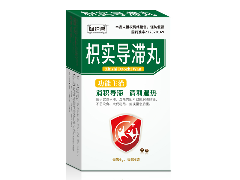 枳实导滞丸 枳实导滞丸