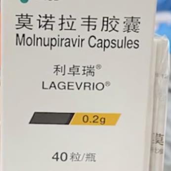 莫诺拉韦胶囊