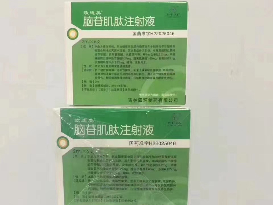 脑苷肌肽注射液