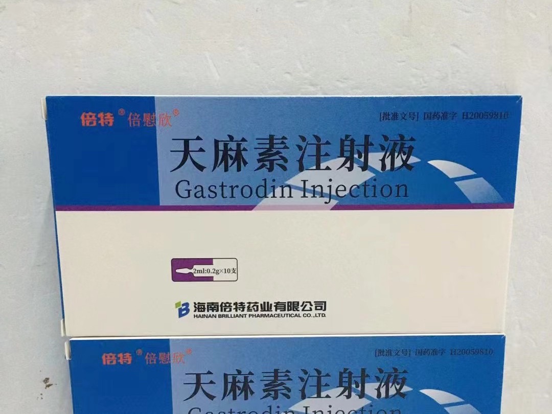 天麻素注射液 天麻素注射液