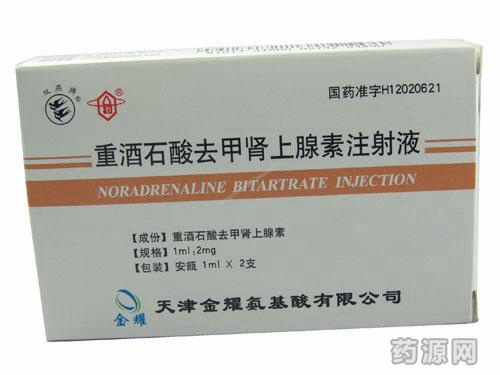 重酒石酸去甲肾上腺素注射液
