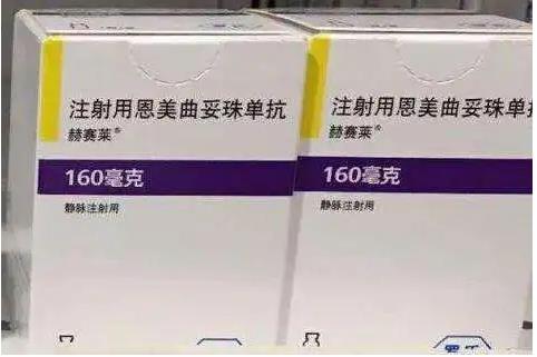 注射用恩美曲妥珠单抗