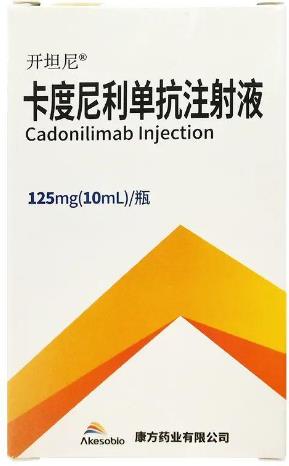 卡度尼利单抗注射液 卡度尼利单抗注射液