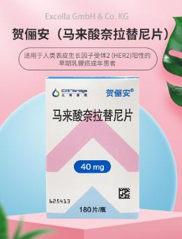 马来酸奈拉替尼片