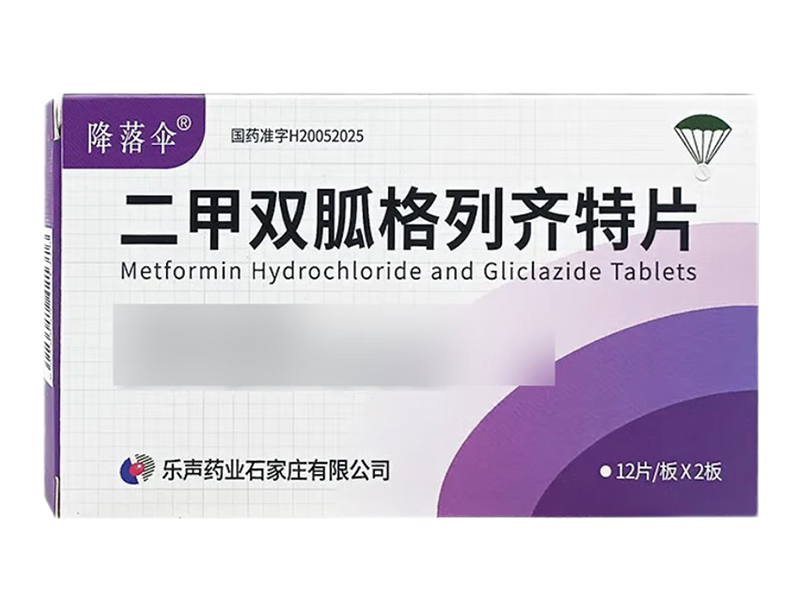 二甲双胍格列齐特片