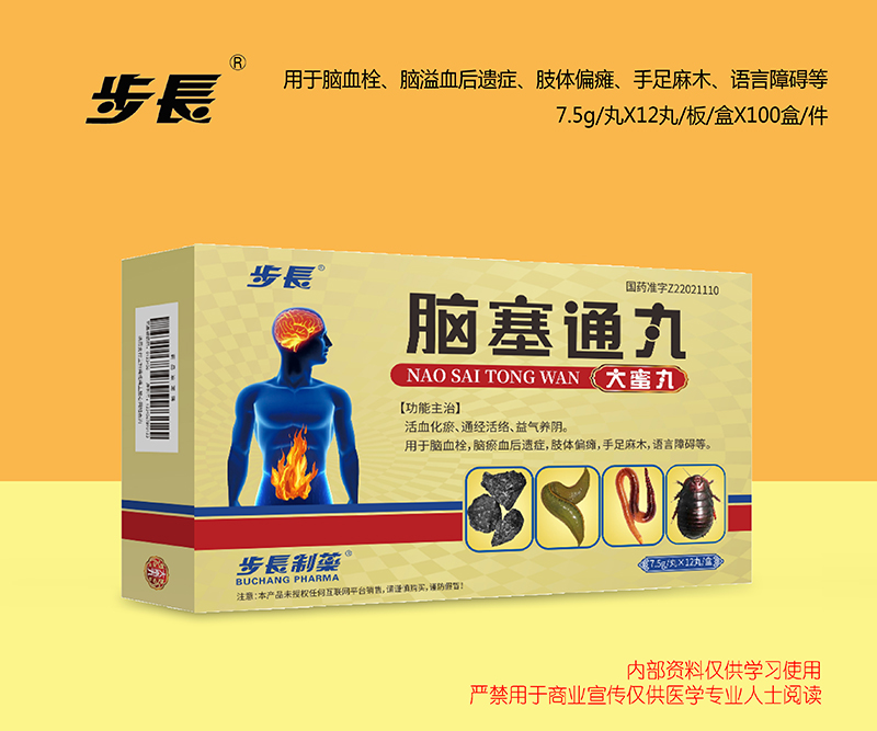 脑塞通丸