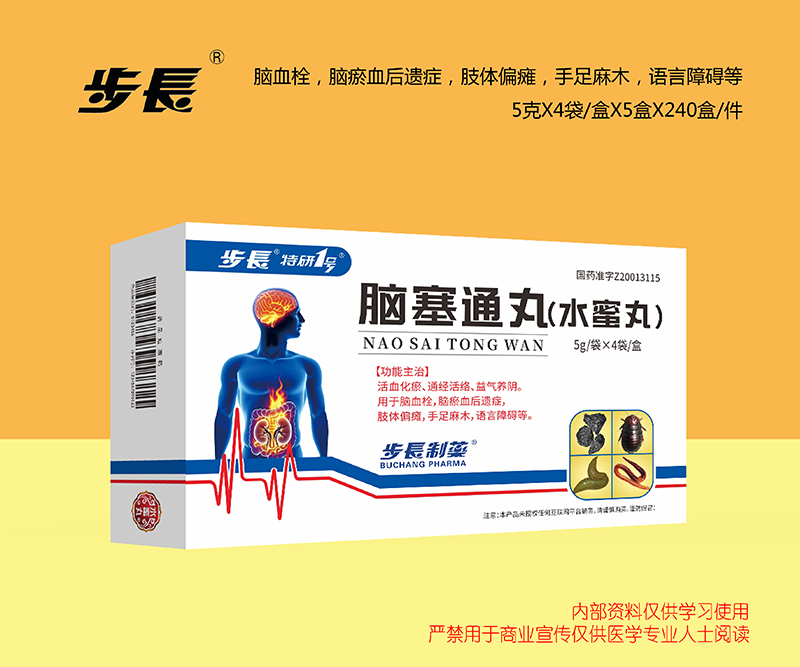 脑塞通丸