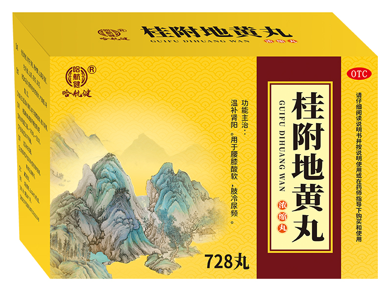 桂附地黄丸 桂附地黄丸