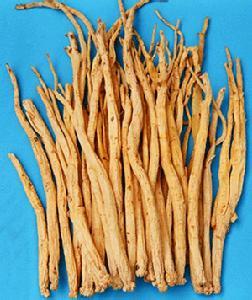 党参
