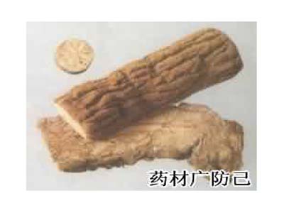 广防己药材